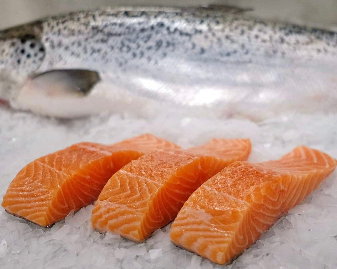 Fresh Australian Salmon fillets kg