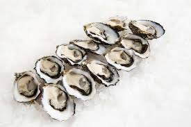 Fresh opened oysters Australian dozen